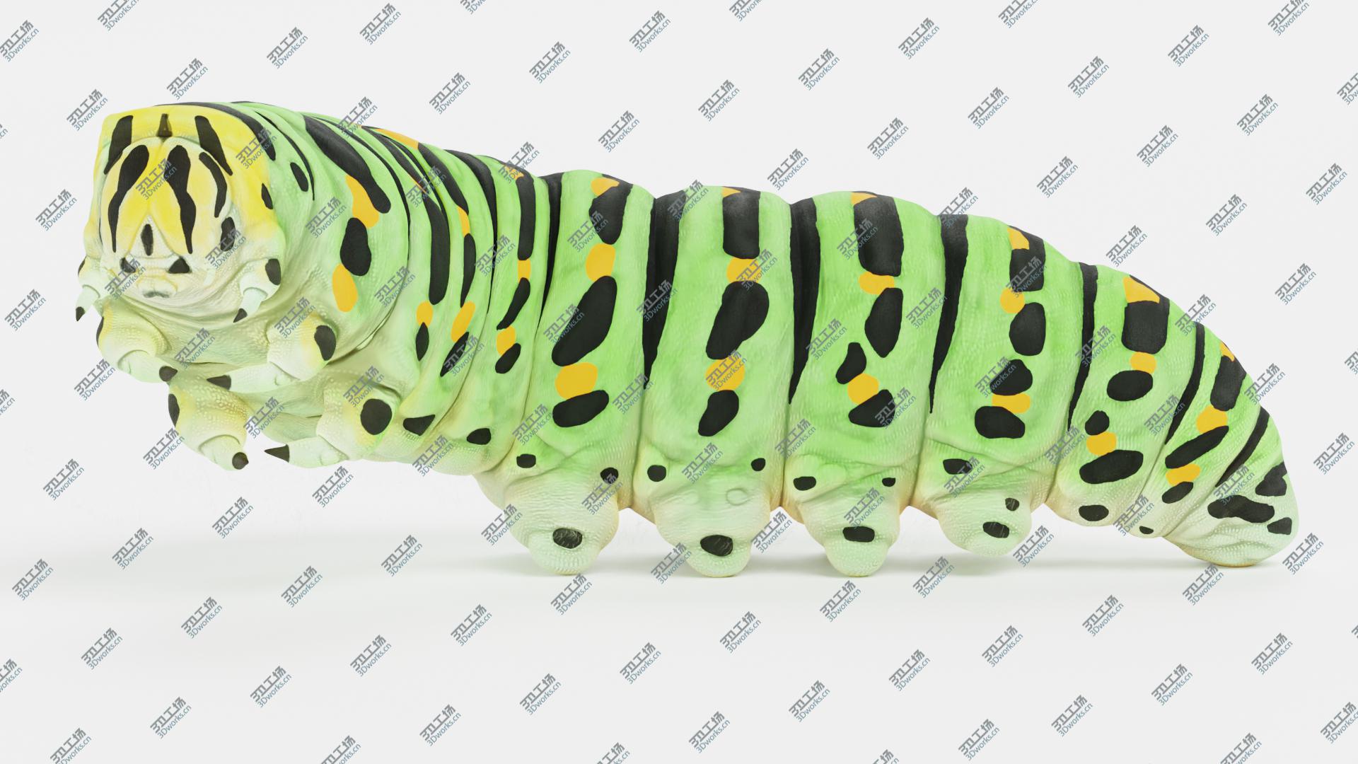 images/goods_img/202104091/Swallowtail Caterpillar Rigged 3D model/1.jpg
